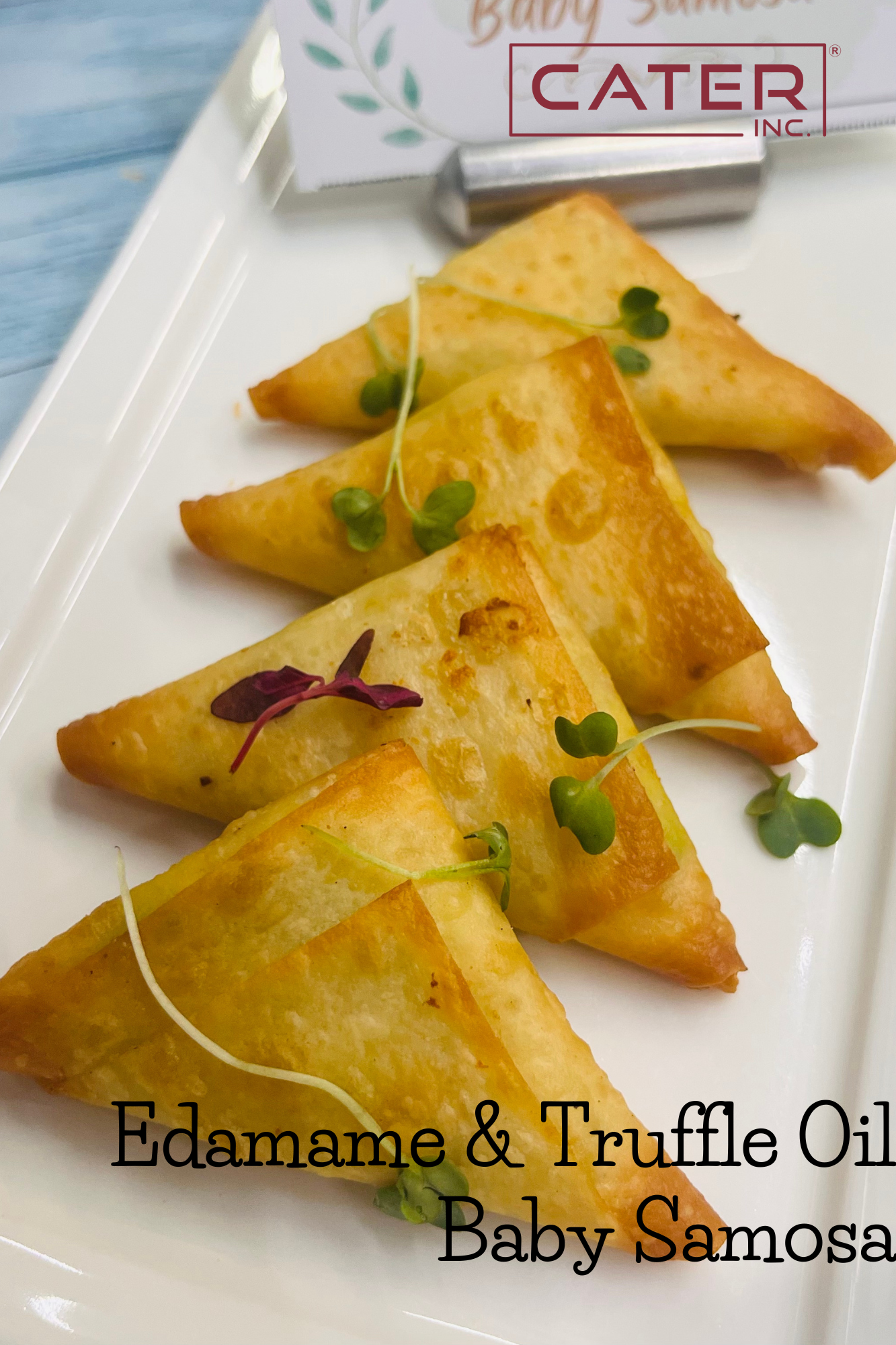 caterers for house party mumbai